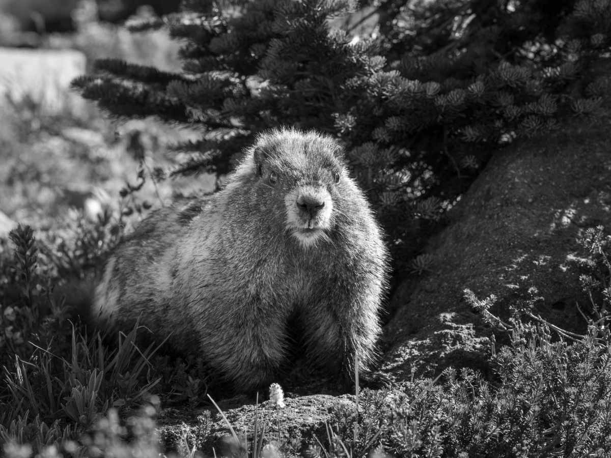 The Ghost of Groundhog’s Day